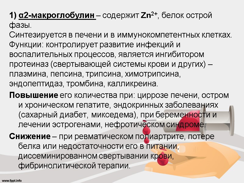 1) α2-макроглобулин – содержит Zn2+, белок острой фазы. Синтезируется в печени и в иммунокомпетентных